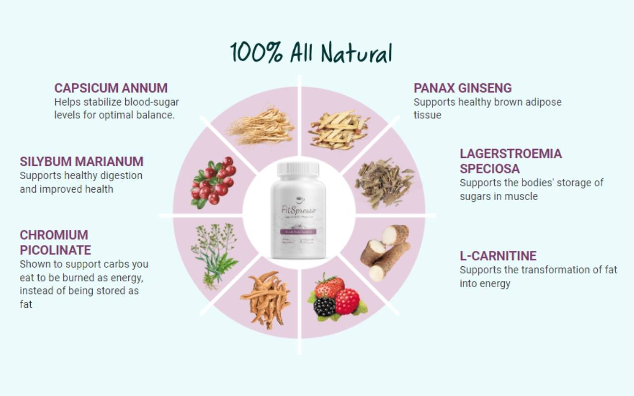 FitSpresso ingredients