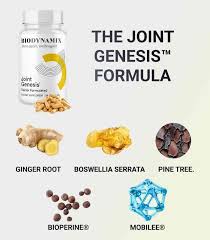 Joint Genesis ingredients